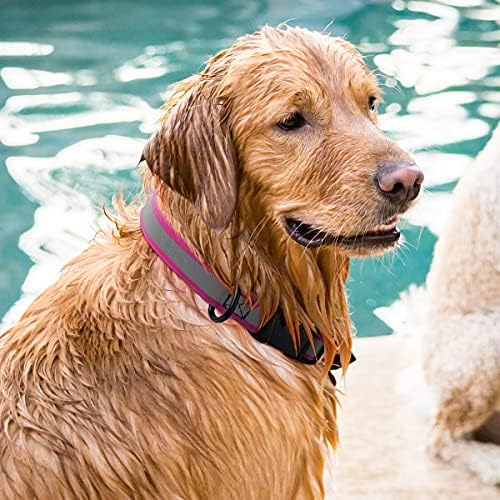 Dogline BioThane Reflective Dog Collar – Waterproof Heavy Duty Dog Collars – High Visibility Quick Release Dog Collar with Sturdy Buckle – Fun Modern Colors – Comfortable and Safe
