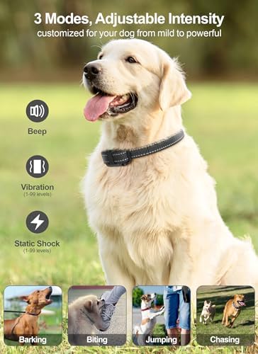 Dog Training Collar with Remote - 2 Pack Shock Collar for Medium Large Dogs