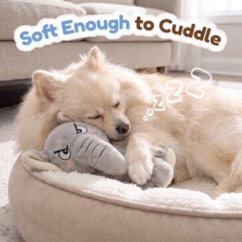 Stuffed Squeaky Dog Toys - Dogs' Favorite Companion for Play & Carry