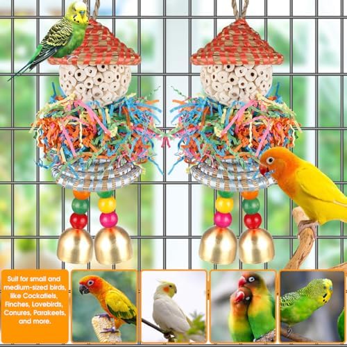 BBjinronjy 2PCS Bird Toys Parrot Foraging Shredder Hanging Toys Sola Balls with Bell for Small Parrots Parakeets Cockatiel Conures Love Birds Budgie Cage Toy