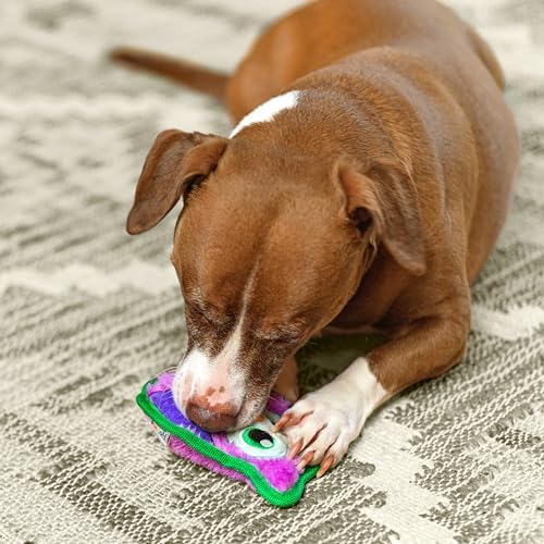 Outward Hound Durablez Minis Tough Chew Plush Squeaky Dog Toy, Owl, 5.8"