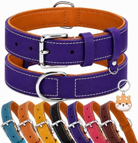Genuine Leather Dog Collar, Soft Padded Leather Dog Collars with Airtag Holder Case for Small Medium Large X-Large Dogs,Comfort Heavy Duty Pet Collar with Durable Metal Buckle & D-Ring-Dark Purple/M