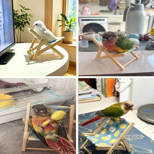 DRESSO Bird Toys for Conures, 4 Pcs Parrot Training Toys Set, Interactive Toys for Birds