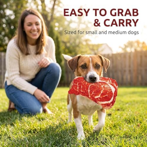 Realistic Food Steak Plush Dog Squeaky Toy, Soft Food Shape Pet Chew Toy for Small Medium Dogs and Non-Aggressive Chewers, Puppy Teeth Clean Chew Toys