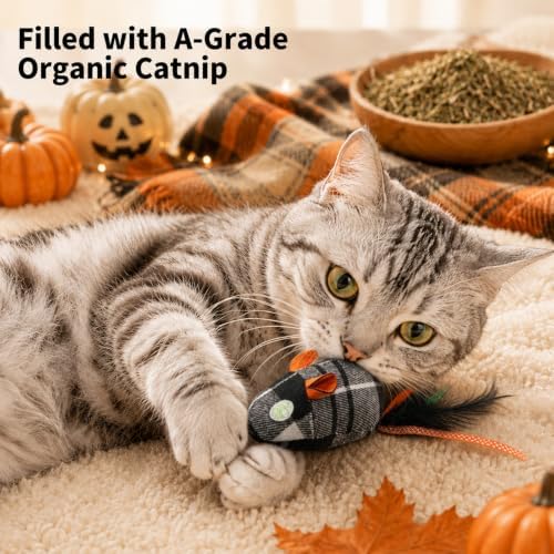 DODODOLA 3 PCS Interactive Cat Toys for Indoor Cats Halloween Mice and Bat Kitten Toys with 100% Pure Organic Catnip Kitty Anxiety Relief Soft Cute Mouse Teething Chew Toys