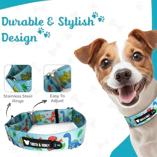 Tooth & Honey Martingale Dog Collar, 1.5-Inch Wide Dinosaur Print Design