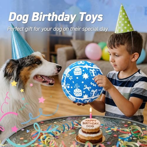 QDAN Dog Gifts, Puppy Dog Birthday Toys, Tennis Ball for Dogs, 9.5 Inch
