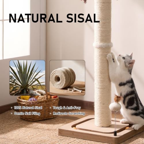 PEEKAB Cat Scratching Post for Indoor Adult Cats and Kittens,33 Inches Tall Large Sisal Scratch Post with Track Ball Toys,Cat Scratcher Toy Beige