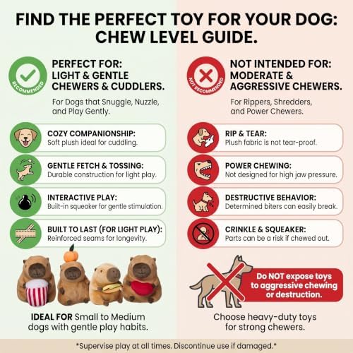 SPOT Capybara with Popcorn Plush Dog Toy, Soft Stuffed Squeaky & Crinkle Toy for Calm and Gentle Play, Adorable Capybara, for Light Chewers and Small Dogs, 8 Inch