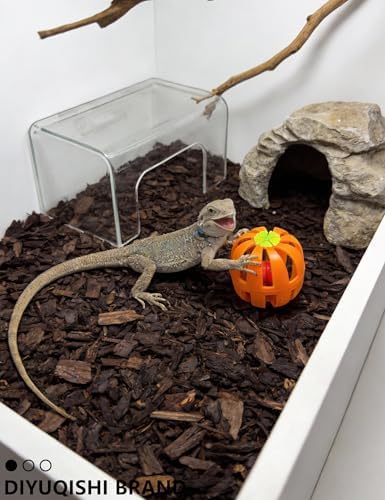 9 Pack Reptile Play Balls and Plant for Bearded Dragons Leopard Geckos