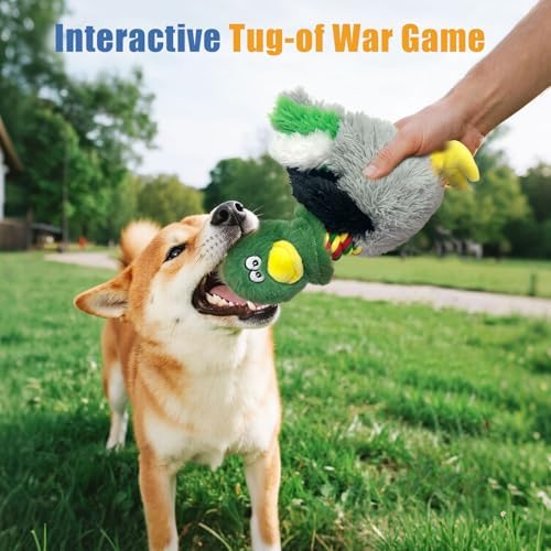 Squeaky Stuffed Dog Toys, Soft Plush Dog Toy with Squeaker, Interactive Tug of War Pet Toys, Puppy Teething Chew Toy, Gift for Small, Medium & Large Dogs to Keep Them Busy - Chicken