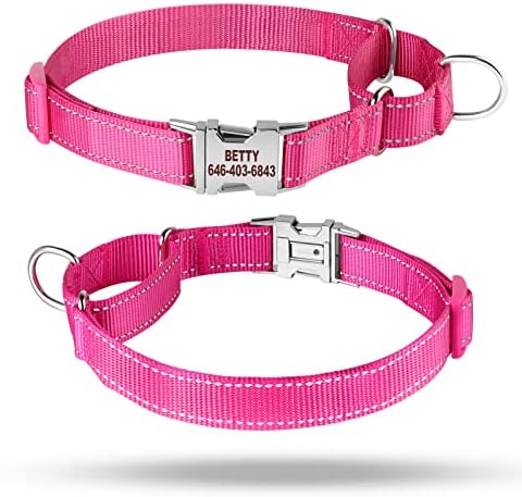 Personalized Martingale Dog Collar-Reflective Martingale Collars with Buckle, Custom Training Martingale Dog Collars Embroidered with Name and Phone Number for Small Medium Large Dogs