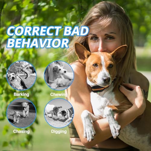 Small Dog Shock Collar for Dogs, Electric Dog Training Collar with Remote,Tailored for 5-30lbs Small Dogs,3 Training Mode Beep, Vibration, Safe Shock(0-9) Waterproof, 1900ft Range (Black, Small)