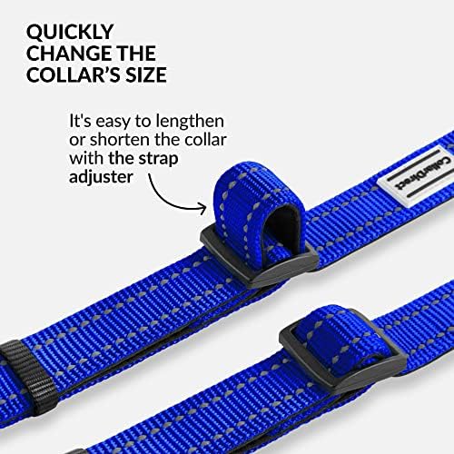 Reflective Dog Collar, Quick-Release Buckle (Blue, 12-16 Inch)