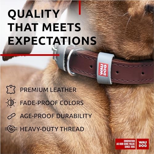 WAUDOG Genuine Leather Dog Collar Adjustable Large Medium Small QR Code Tag