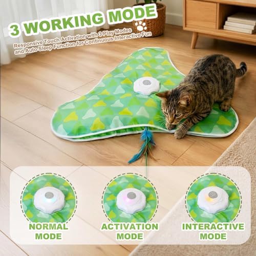 Interactive Cat Toys for Indoor Cats, Hide and Seek Mat with Moving Feather