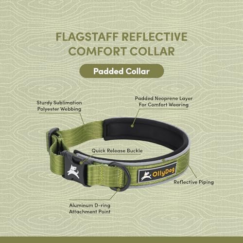 OllyDog Flagstaff Reflective Comfort Collar, Neoprene Padded Dog Collar, Reflective Trims for Night Runs, Extra Comfort for Active Dogs (Small, Cactus Woodgrain)