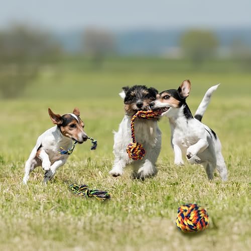 Puppy Teething Toys for Small Dogs, 5 Pack Cotton Puppy Dog Rope Toy
