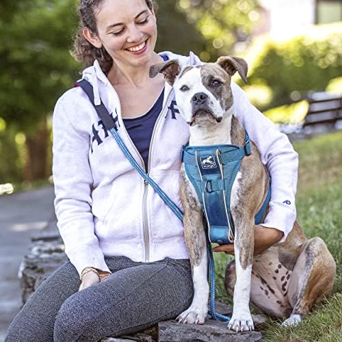 Kurgo Tru-Fit Smart Harness, Blue, Extra Small
