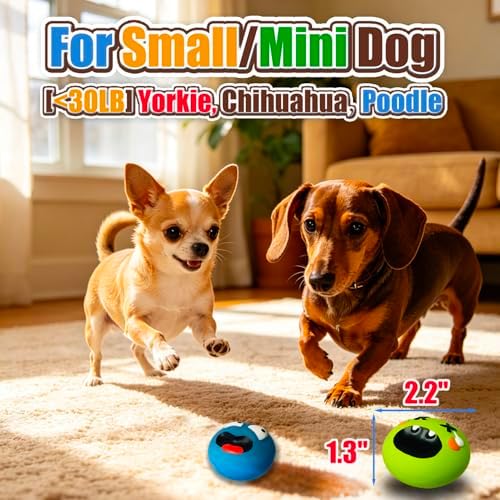 HOLYSTEED Latex Squeaky Dog Toys for Small Dogs, Mini Breed, 2.2" Flat Ball