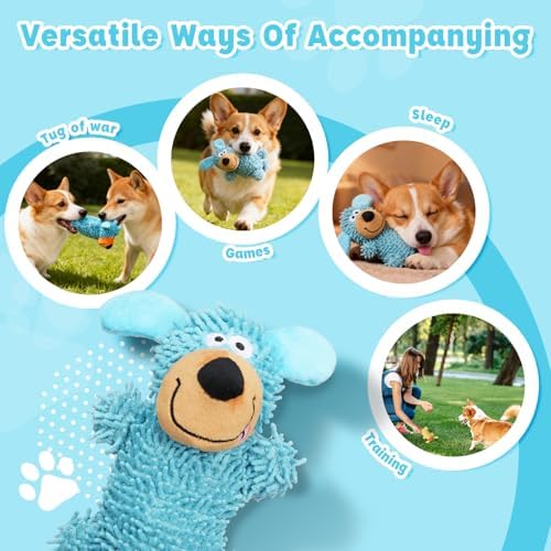 2 Pack Squeaky Dog Chew Toys for Small Animals Dogs Puppy Teething
