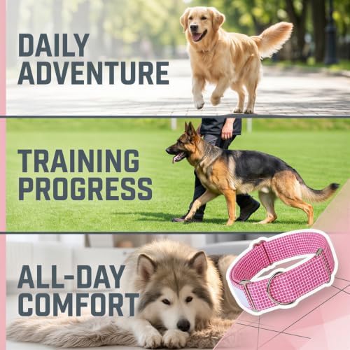 Pink Dog Collar Medium, Adjustable Martingale Dog Collar, 13.8 to 18.9 in, 2.0 in Wide Grid Pattern, Soft Padded Training Neckband with Metal D-Ring for Medium Large Dogs Walking