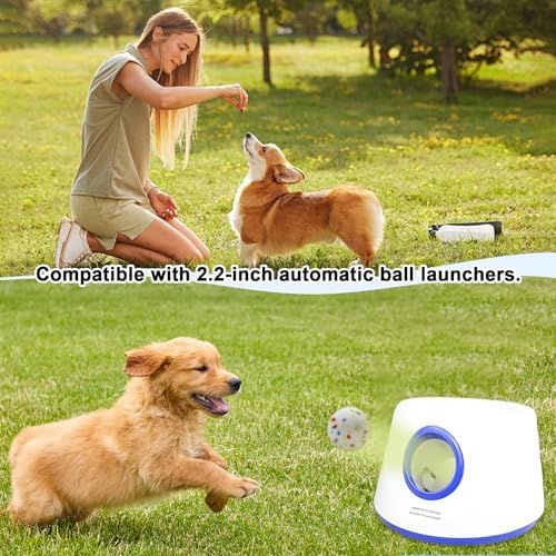 6-Ball 2.2-Inch Dog Ball Replacement Set for Automatic Launchers Ideal for Dog Training and Play, Perfectly Compatible with 2.2-inch Automatic Dog Ball launchers (ETPU Material)