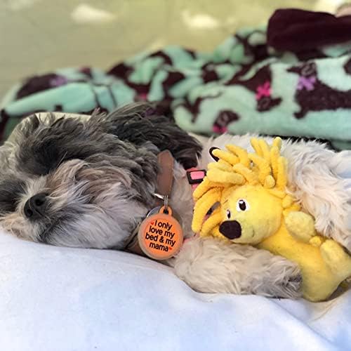 SmartPetLove Snuggle Puppy Tender-Tuffs Small Dog Toy, Plush Hedgehog