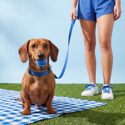 Playology Squeaky Chew Ball Dog Toy - Small, Hot Dog Scent, 3-Pack