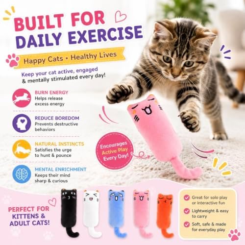 Plush Catnip Cat Toy with Crinkle Paper – Interactive Cat Kicker Toy for Indoor Cats, Soft Stuffed Kitten Toy, Set of 5 -Kitty Whiskers Playhouse