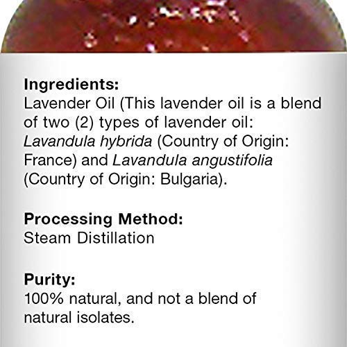 Majestic Pure Lavender Essential Oil and Eucalyptus Essential Oil Bundle - 2 Eucalyptus & 1 Lavender Oil Bottle Combo for Aromatherapy, Massage, Topical and Household Uses - 4 fl oz Each