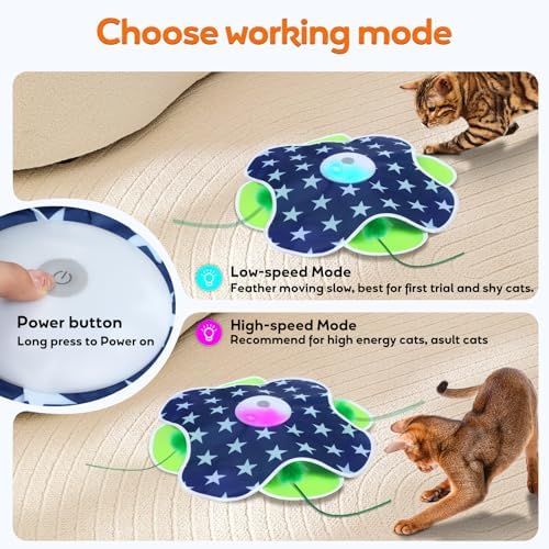 Oxawo Interactive Cat Toys for Indoor Cats Kittens Mat Toy