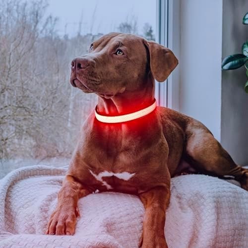 Flashseen LED Dog Collar, Light Up Dog Collar USB Rechargeable, Red, L