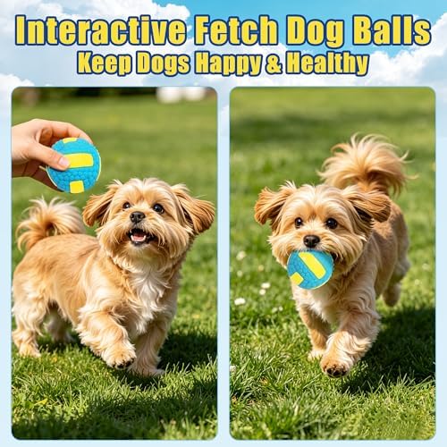 2.6" Squeaky Dog Balls, Interactive Latex Dog Squeaky Toys Soccer Ball Durable for Puppy Small Medium Dogs 4 Pack