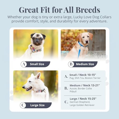 Lucky Love Dog Martingale Collar for Small Dogs Cute – Blue Laguna, Small