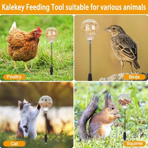 Kalekey 4 Pack Chicken Feeding Toy, Chicken Enrichment Toys with Spring and Ground Stake, Chick Treat Dispenser Peck for Hens Poultry Duck Birds Parrot Cat