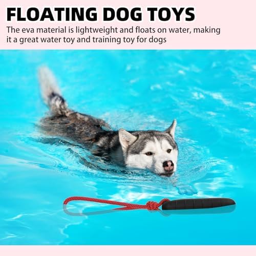PUPTECK Interactive Dog Pool Toys Water Floating Toys Fetch Training Bumpers 2 Pack, Red & Black