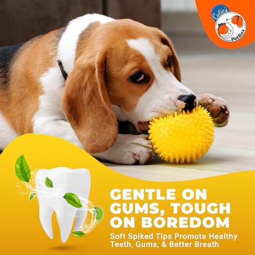 Cutie's PetBox Squeaky Rubber Spike Toy Ball for Medium, Large Dogs, 3-Colors Blue Green Yellow (3.5 Inch, Multi-Pack)