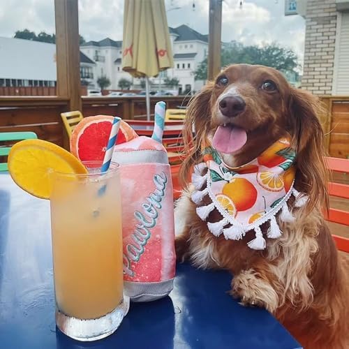 Haute Diggity Dog Pawloma Plush Dog Toy, Cocktail Parody Stuffed Chew Toys