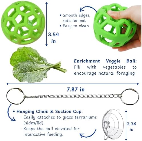 Bearded Dragon Enrichment Toys Feeding Tongs Accessories, Veggie Feeder Ball and Feeding Tongs with Rubber Tip, Greens Training Kit for Reptile Lizard Gecko, Reptile Tank Accessories (Green)
