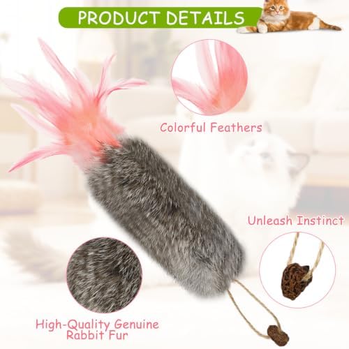 4 Pack Rabbit Fur Cat Toys with Feathers, Durable Interactive Chew and Kicker Toys for Indoor Cats and Kittens, Carrot Cat Toys with Galls Fruit for Teeth-Cleaning Relieves Boredom