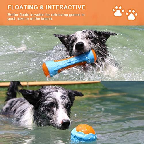 Dog Squeaky Toys, Pool & Beach Toys for Interactive Fetch & Play, TPR