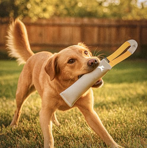 OllyDog Tugger | Dog Tug Toy for Tug of War & Training | Durable Bite Pillow | Eco-Friendly Recycled | Handle | Medium Large Dogs (Con Leche)