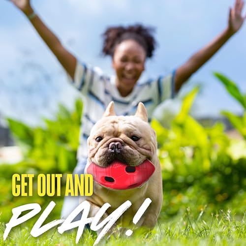 Nerf Dog Rubber Football Dog Toy with Interactive Squeaker and Crunch, Lightweight, Durable and Water Resistant, 6 Inch Diameter for Medium/Large Breeds, Single Unit, Red