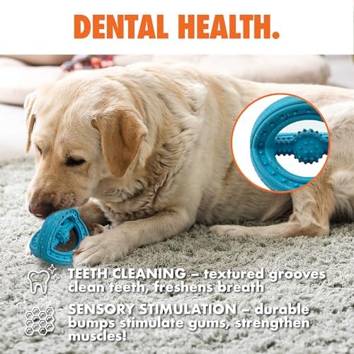 Max Fusion Phoenix Dog Toy, Medium, Blue, Made with Nike Grind