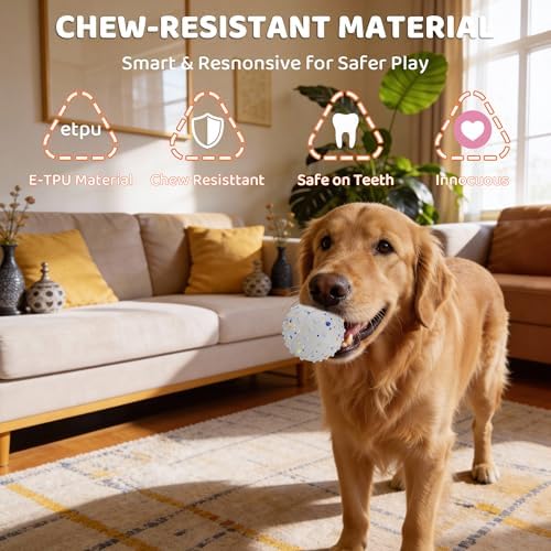Interactive Dog Balls, Durable Motion Activated Automatic Rolling Ball for Aggressive Chewers, Indestructible Dog Toy Ball for Training Dog Catch and Fetch, Large Medium Small Dog (3in, White)