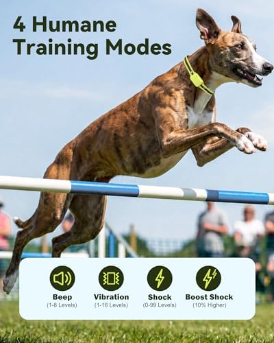 Shock Collar for Dogs - 4200FT Dog Training Collar with Remote-IPX8 Waterproof Reciver with 4 Modes, Rechargeable E-Collar for Small Medium Large Dogs (10-120lbs),Purpel