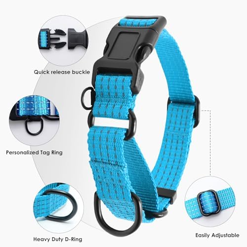 Martingale Dog Collar, Reflective No Pull with Buckle, Sky Blue, M