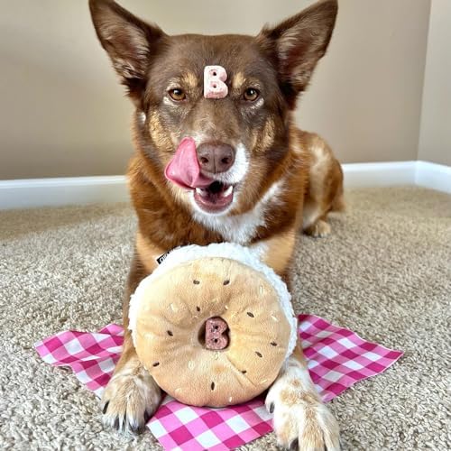 CHEWFFON Dog Squeaky Toy, Interactive Bagel Shape Puzzle Toy
