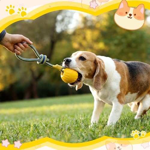 Hsei 2 Pcs 3.5" Dog Rope Toy Ball on Rope Fetch and Tug of War Toy for Dog